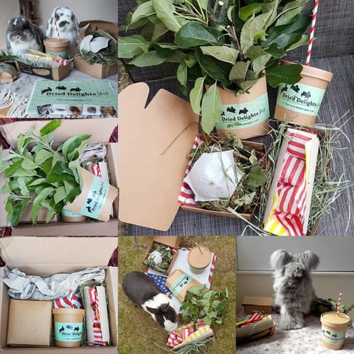 Image of 'The Hoppy Meal' Box! (FAKEAWAY RANGE)