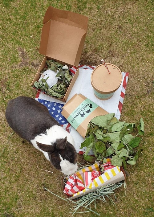 Image of 'The Hoppy Meal' Box!