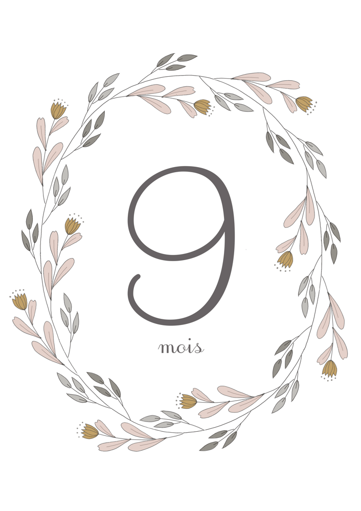 Image of Cartes étapes grossesse