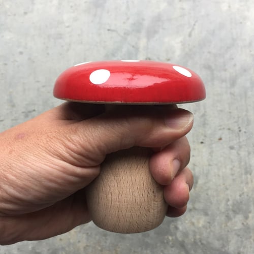 Image of Toadstool Darning Mushroom