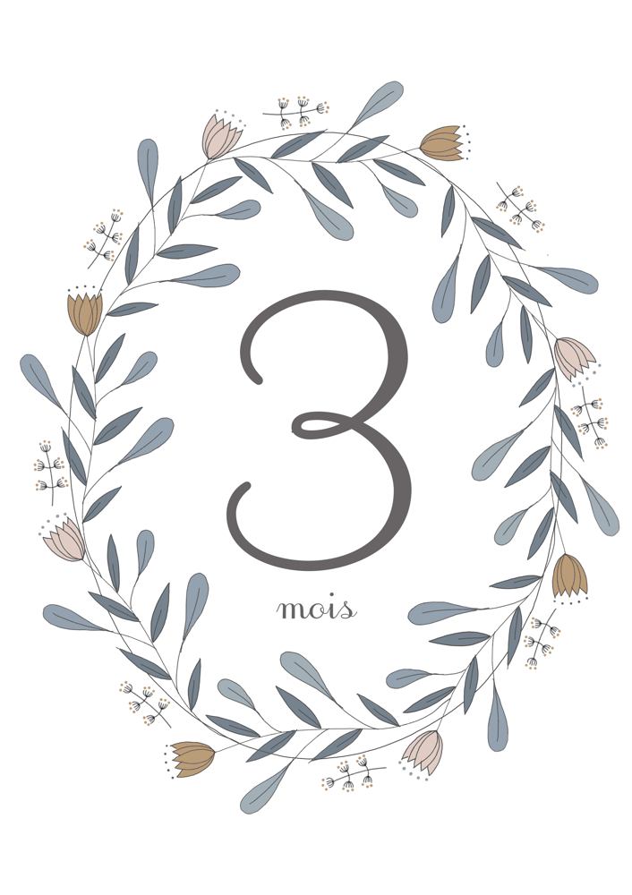 Image of Cartes étapes grossesse