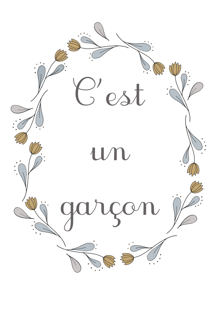 Image of Cartes étapes grossesse