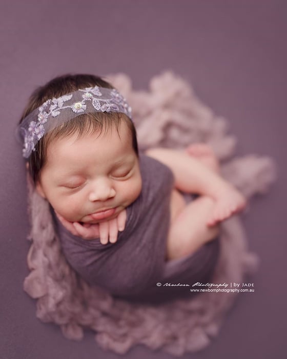 Image of Embroidery lavender tulle headband
