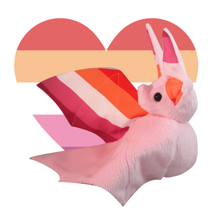 Image of Lesbian Flag Option 2 - Multiple Colour Options - Made to order 
