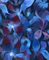 Electric Lilies Print