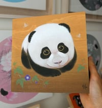 Image 2 of Panda Cub - Mei Xiang