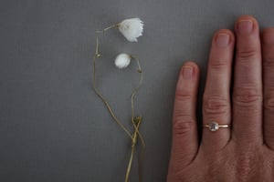 Image of 18ct Gold 5mm White rose cut diamond ring (LON131)