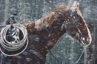Horse in the Snow