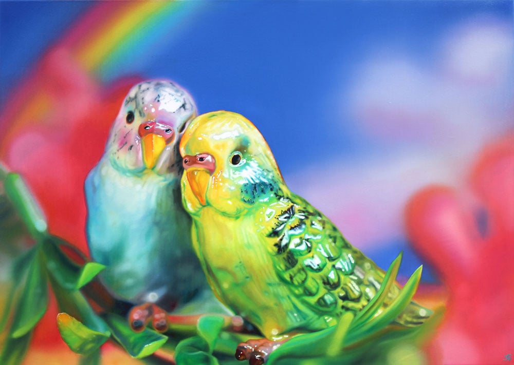 Image of Budgie Love - Limited Edition