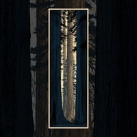 Image 1 of "Avenue of the Giants" - WOOD PANEL