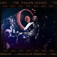 THE FALLEN LEAVES Maximum Minimum LP