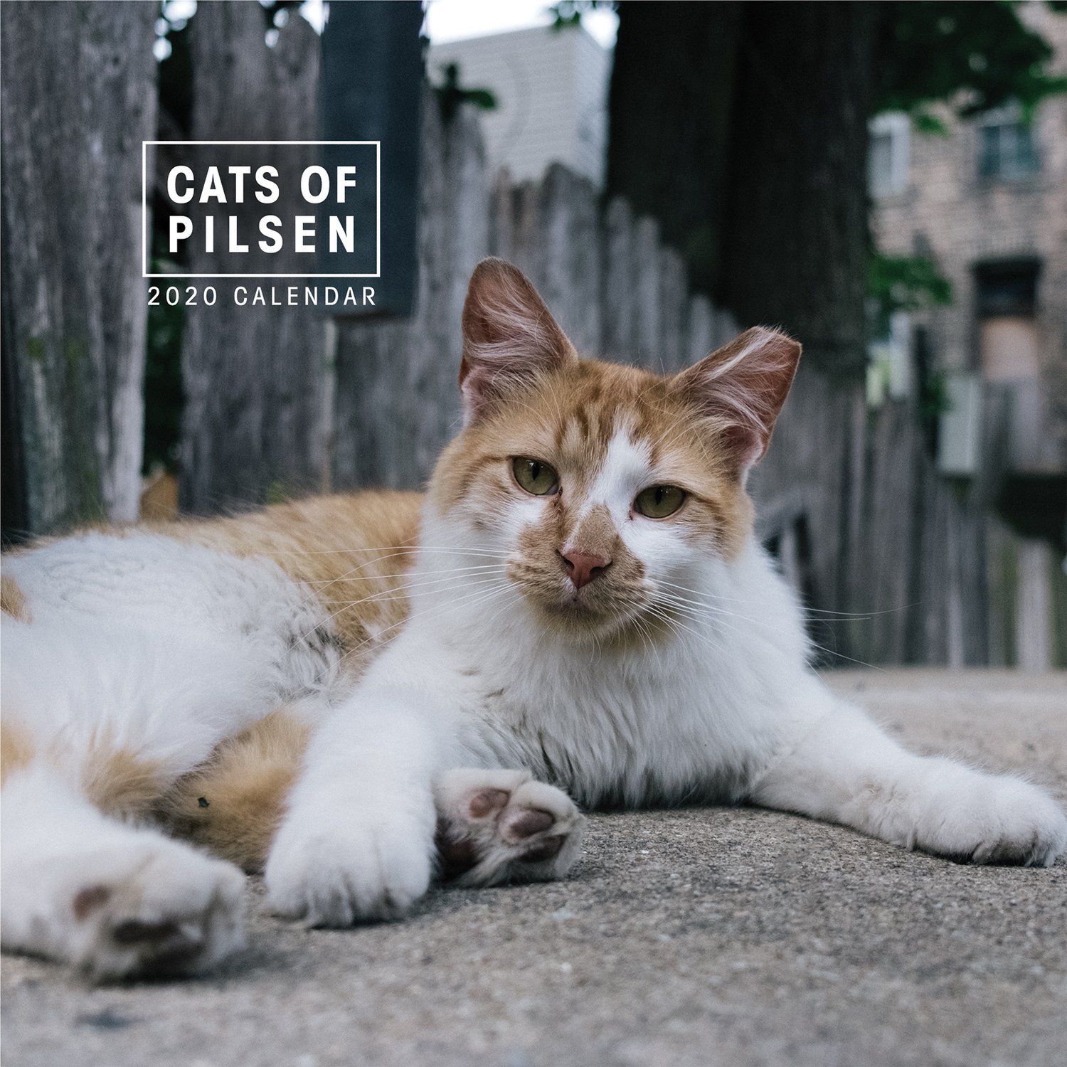 Image of Cats of Pilsen 2020 Wall Calendar