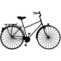 Adult's Private Bicycle Lessons (1, 4, or 6 lessons)
