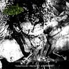 UNBORN SALIVATE "Paraphiliac Orgiastic Atonement" LP