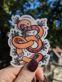 Clear Back Snake Sticker 