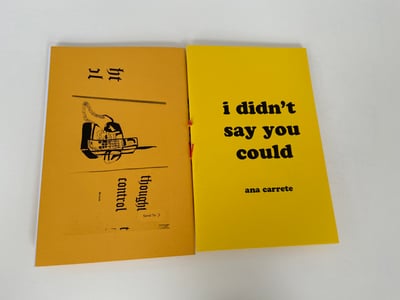 Image of I Didn't Say You Could (2nd print)