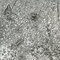 Image 4 of Night Crawlers - Framed Artwork.