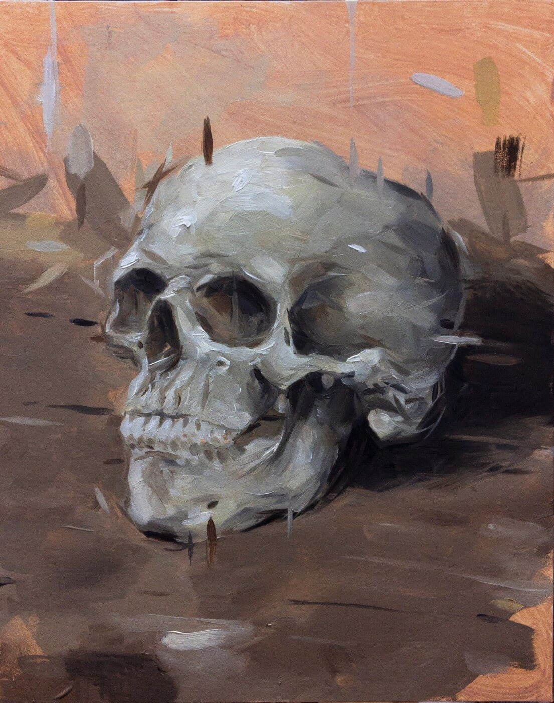 Image of Skull Study
