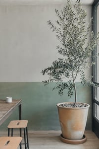 Image 3 of Adam stools H50 by Frama