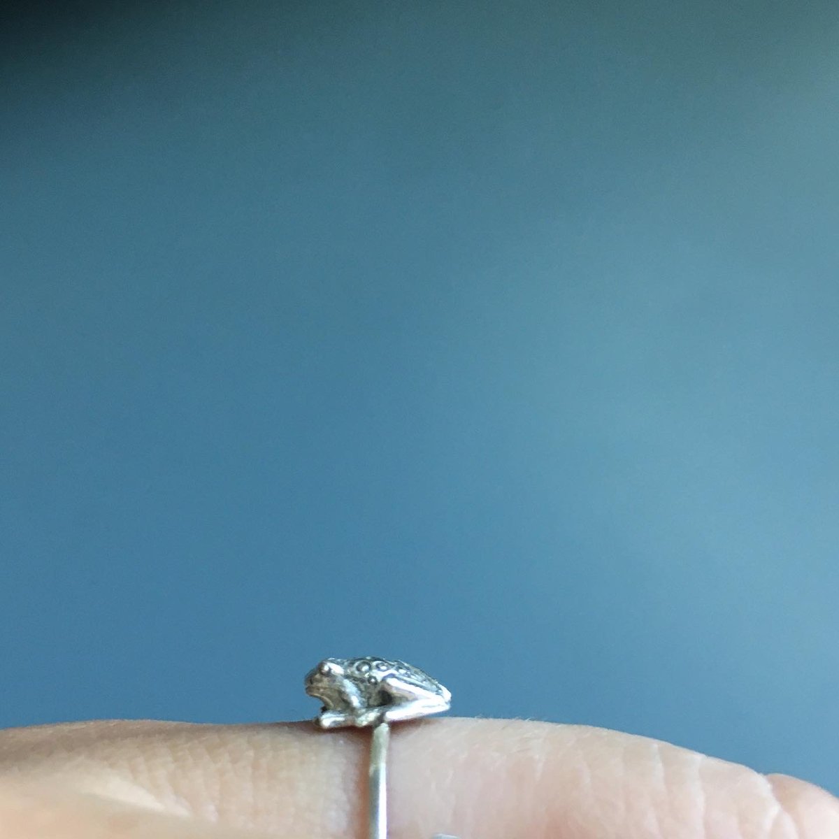 Image of Little frog ring