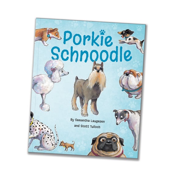 Image of Porkie Schnoodle