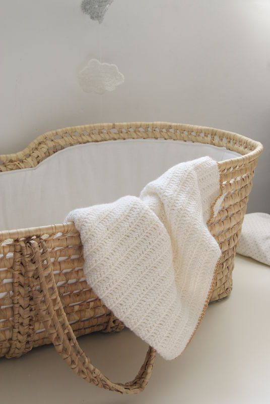 Moses basket for sales downstairs