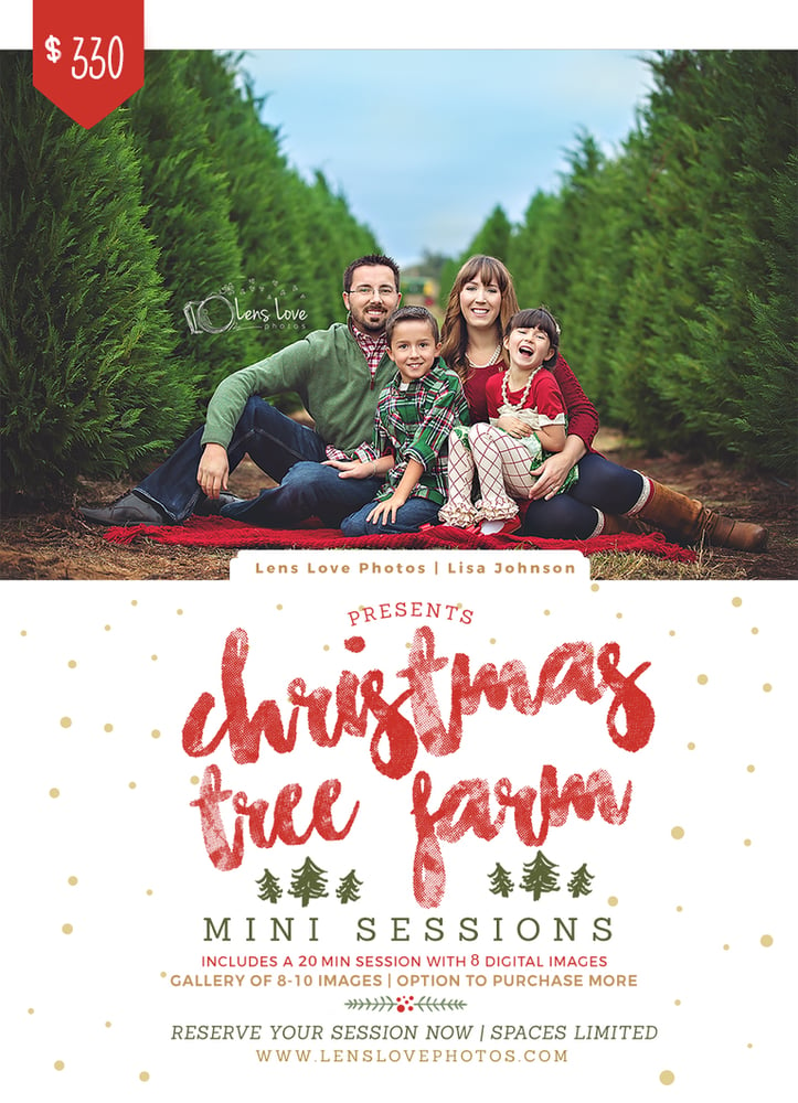 Lens Love Photos — Christmas Tree Farm Mini Sessions