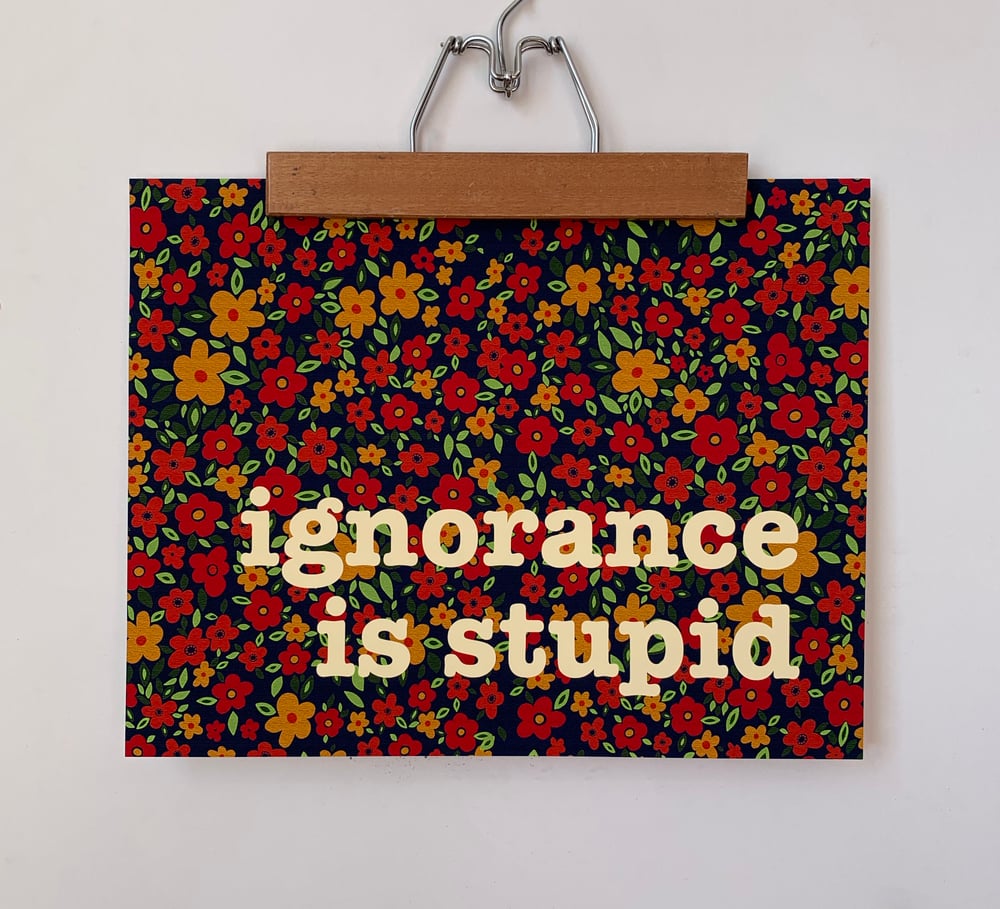 Ignorance is Stupid - 11 x 14 print