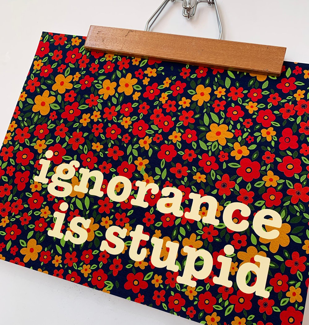 Ignorance is Stupid - 11 x 14 print