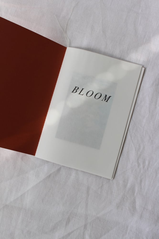 Image of BLOOM 