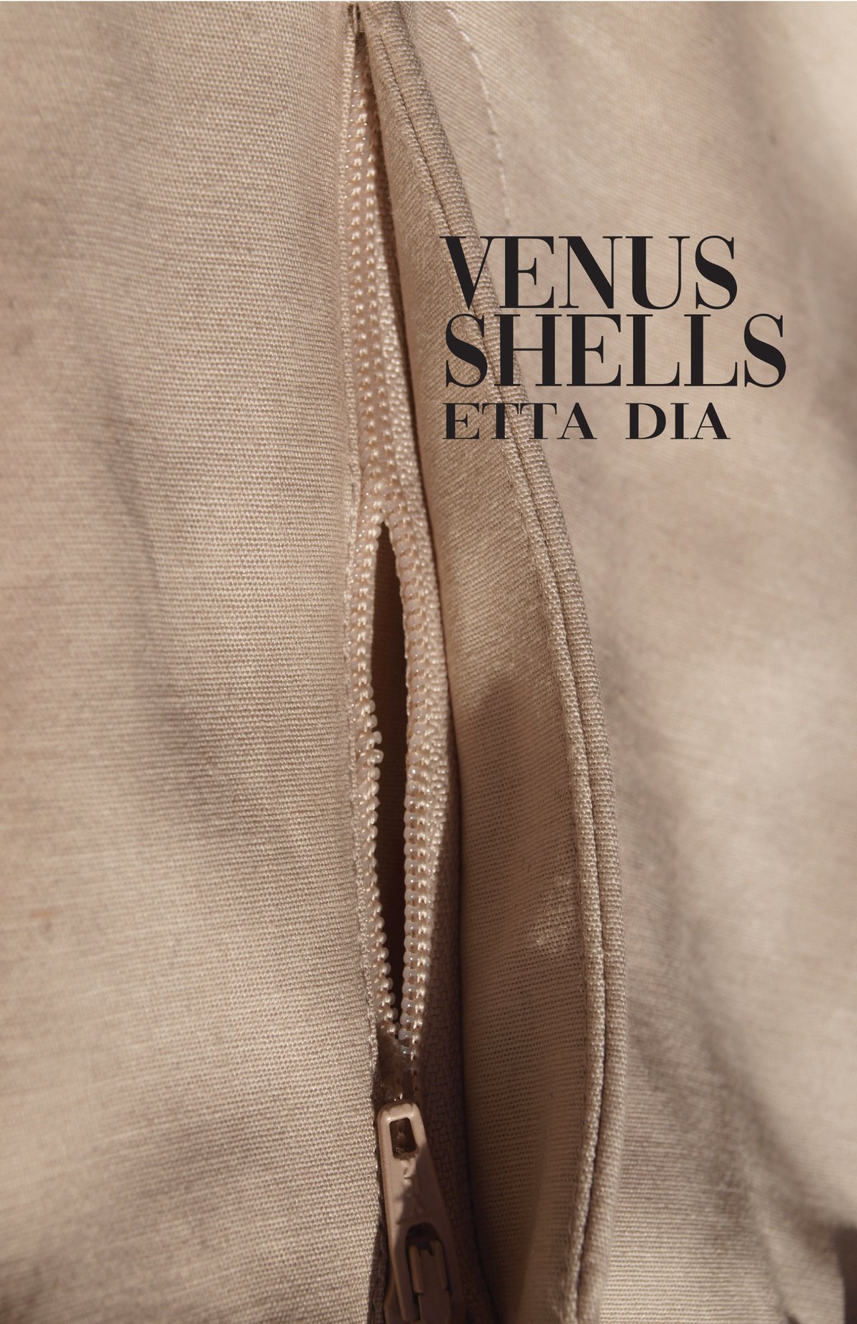 Image of Venus Shells by Etta Dia