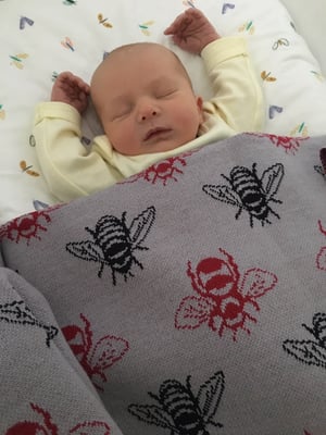 Image of NZ Honeybee Cot Blanket - 100% Merino