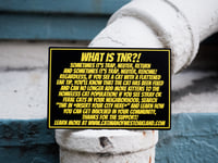 Image 2 of Turn A Hoodcat into a Housecat 2 Pin Set : Cat Man x @lillianjoan