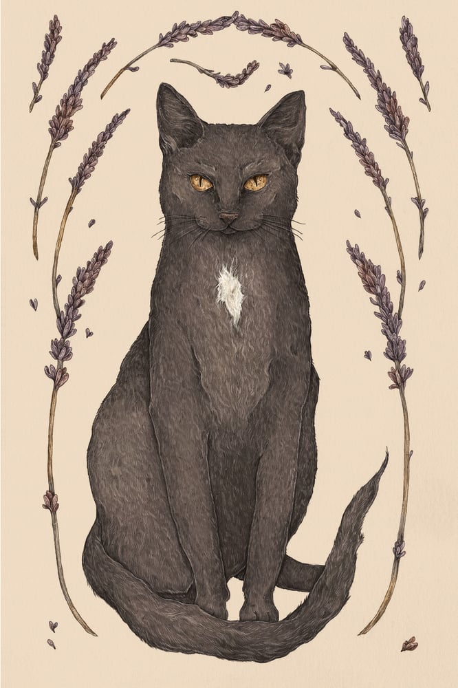 Image of Cat and Lavender Print