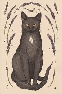 Cat and Lavender Print