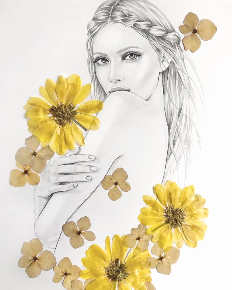 Image of AMBROSE - A3 original illustration with pressed flowers