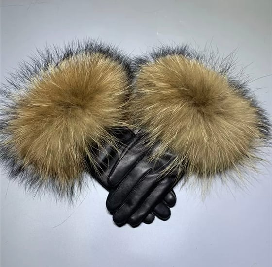 Image of Roma Gloves