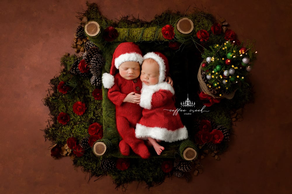 Image of Mr. & Mrs. Claus 