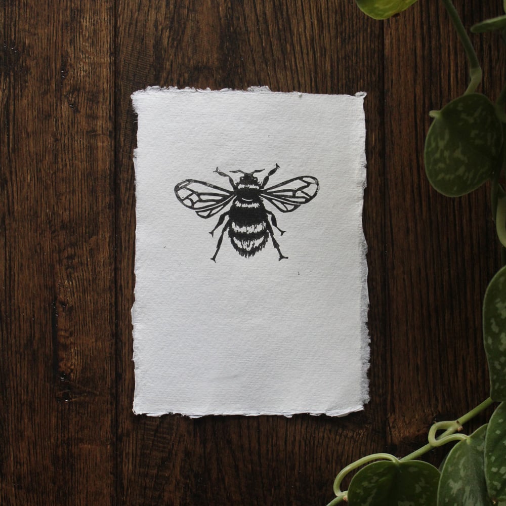 Image of Bumblebee print