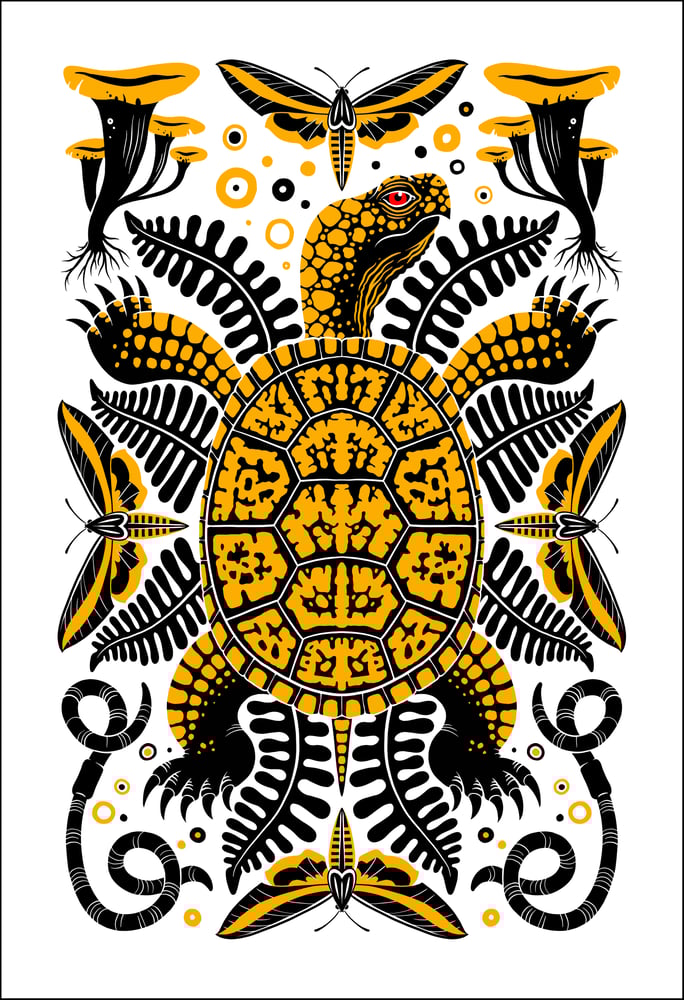 Image of Box Turtle Print