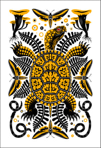 Box Turtle Print