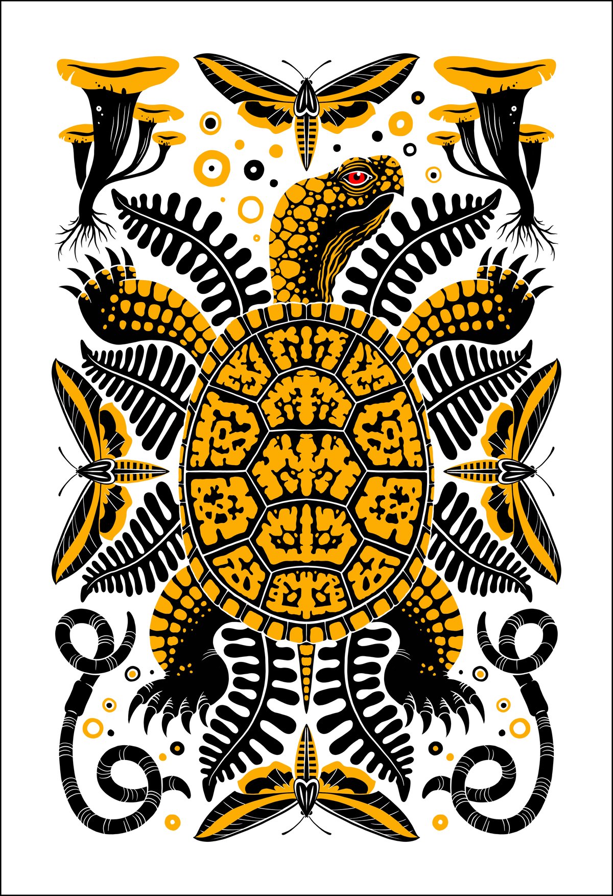 Image of Box Turtle Print