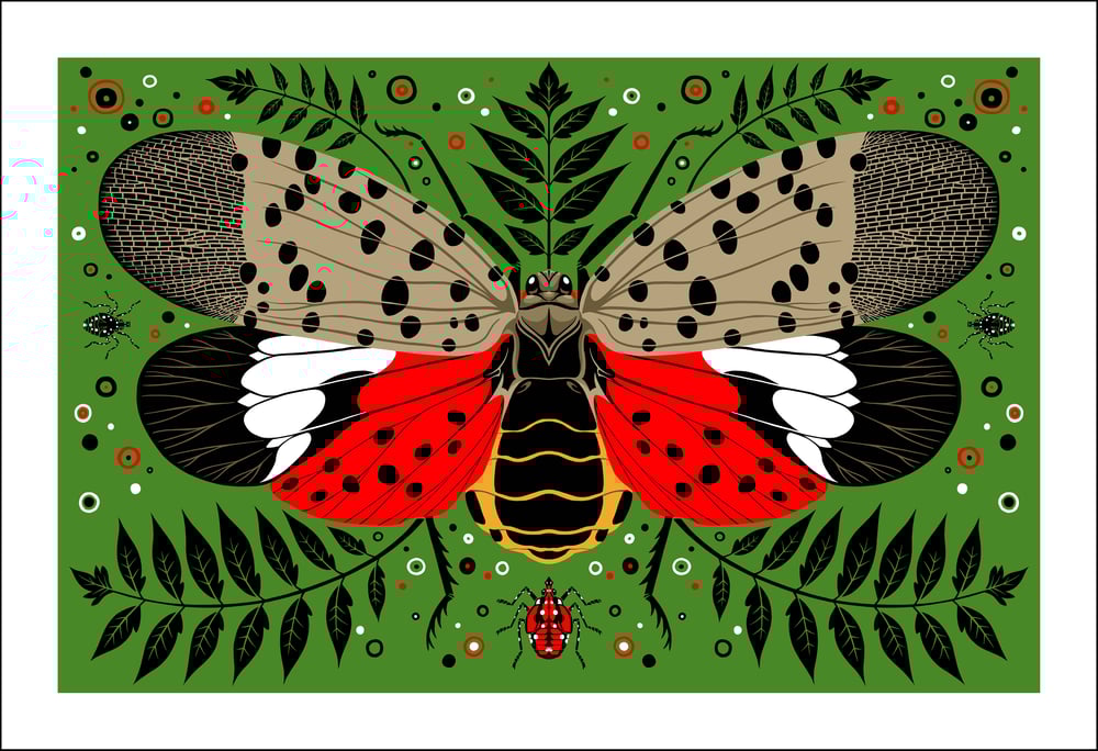 Image of Spotted Lanternfly Print