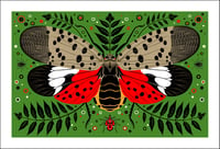 Spotted Lanternfly Print