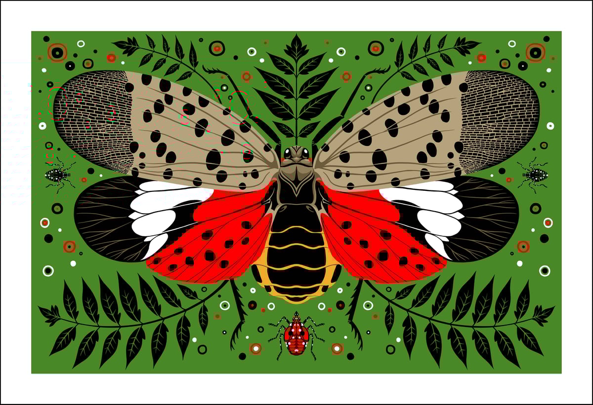 Image of Spotted Lanternfly Print