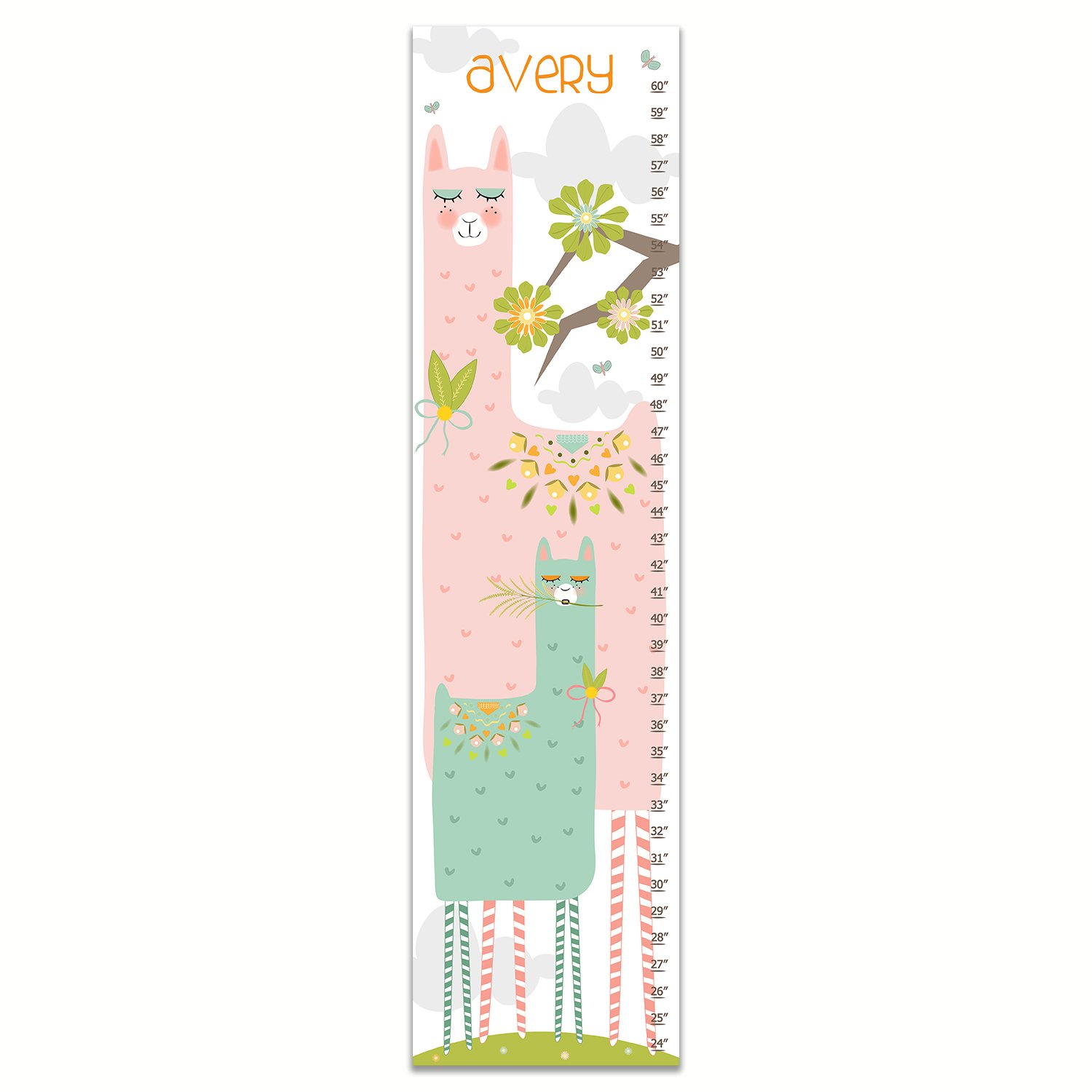 Paper And Cloth Growth Chart