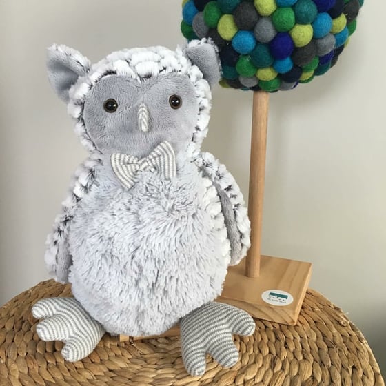 Image of Ollie the Owl