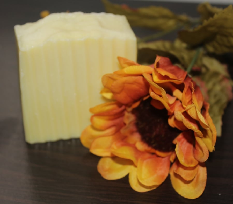 Image of Morning Rain