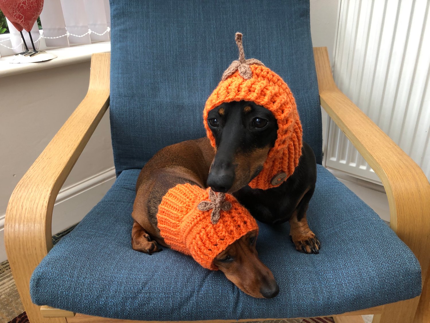 Image of Snazzy Pumpkin Snood