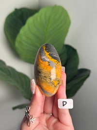 Image 4 of HIGH QUALITY BUMBLE BEE JASPER SHIVAS -INDONESIA-